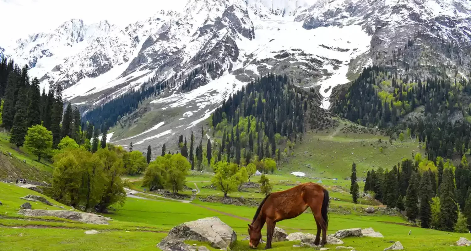 kashmir tour packages from india