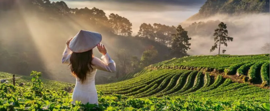 Places to Visit in Vietnam