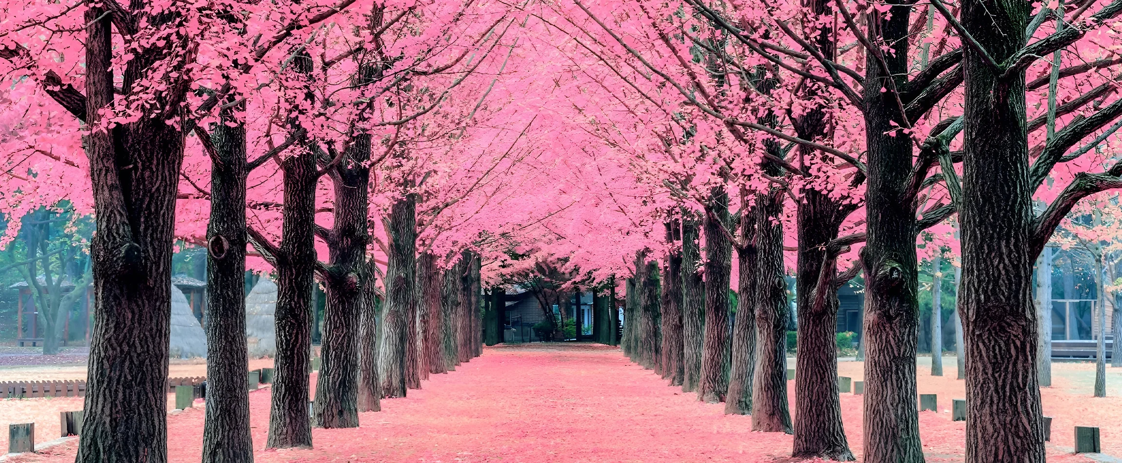 Places to Visit in Seoul