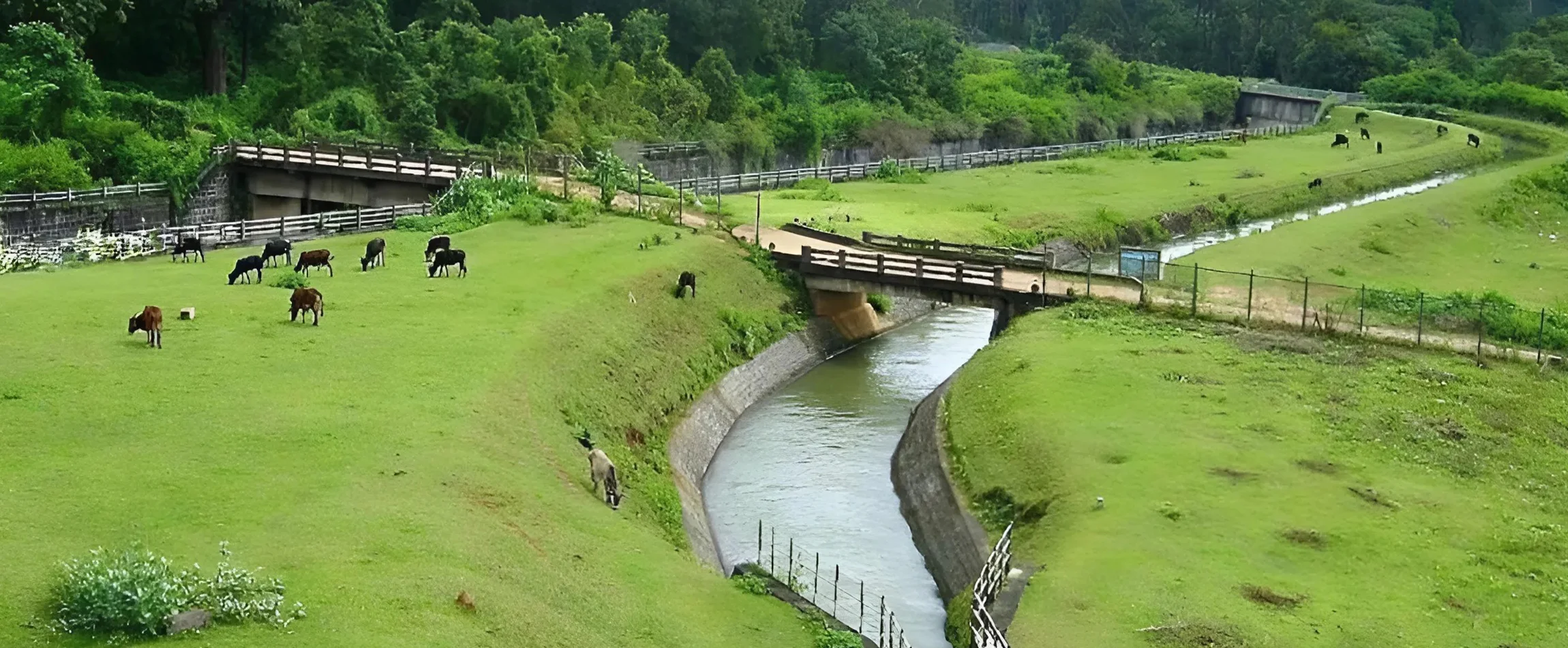 Top 10 Places to Visit in Madikeri